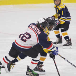 https://www.hockeywestisland.org/wp-content/uploads/2020/09/Screen-Shot-2020-09-02-at-3.32.37-PM-320x320.png